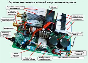 Что такое инвестор: разновидности