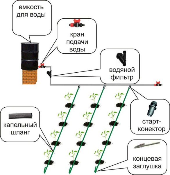 Схема капельного полива из бочки легко реализуется своими руками