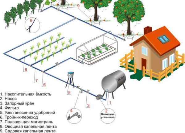 Схема капельного полива с насосом для повышения напора