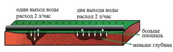 Капельница в шланге для полива может иметь один или два выхода. Выбирайте в зависимости от корневой системы растения