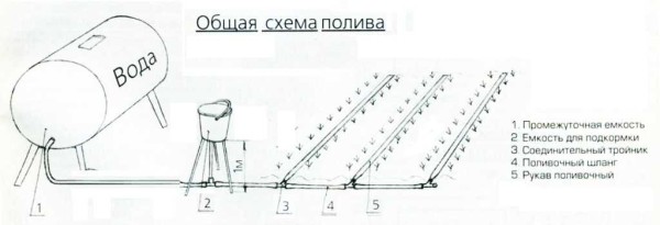 Схема капельного орошения