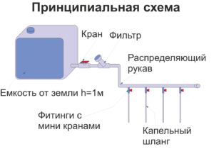 схема капельного орошения