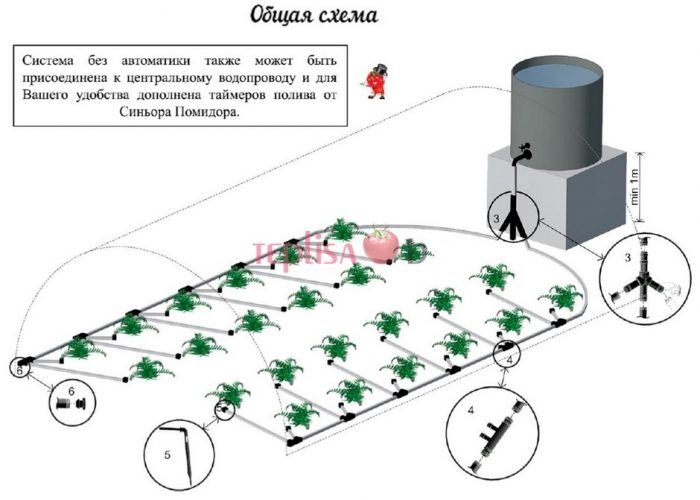 Орошение на 60 растений