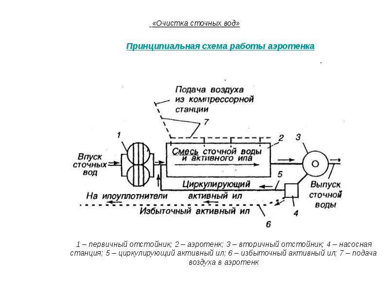 Схема биологической очистки сточных вод с аэротенками